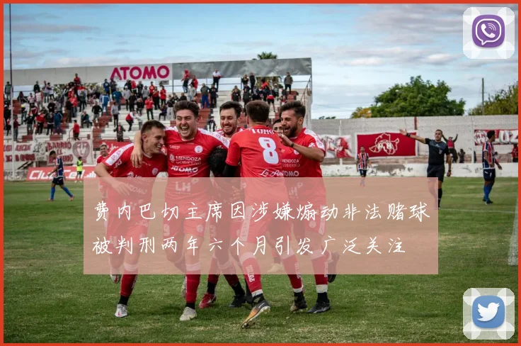 费内巴切主席因涉嫌煽动非法赌球被判刑两年六个月引发广泛关注